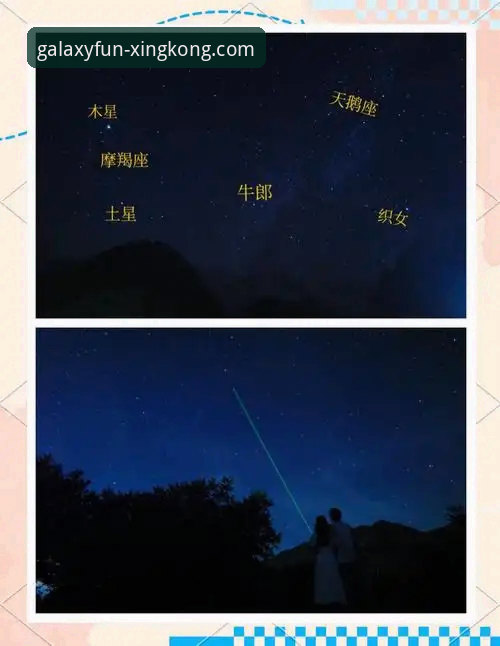 手机版vs电脑版：星空娱乐平台全面对比，哪个更适合你？